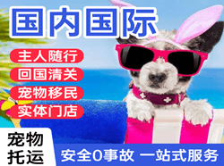 荆州沙市机场托运国际宠物托运 【国